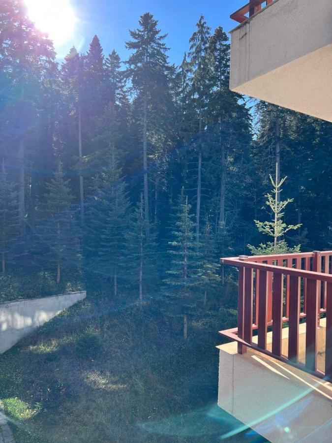 Arboro Flora Residence Studio Borovets Exterior foto